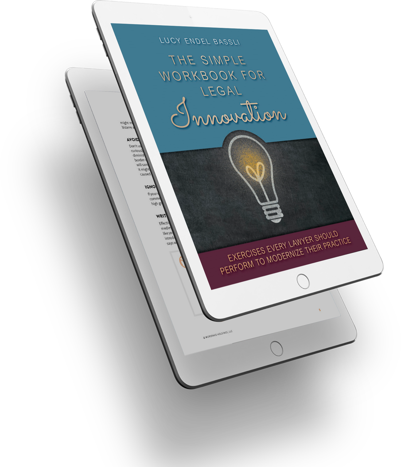 Lucy Bassli eBook 3D