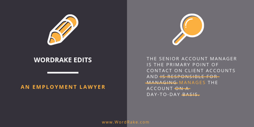 WordRake Edits Infographic #1