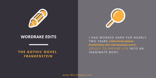 WordRake Edits Infographic #3