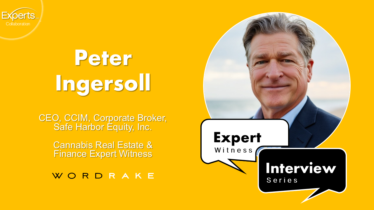Peter Ingersoll Expert Witness Interview Graphic